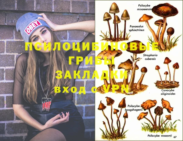 ешки Дмитриев