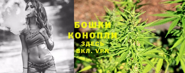 mdpv Дмитров