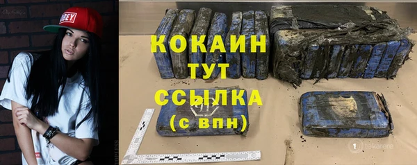 ешки Дмитриев