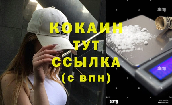 ешки Дмитриев