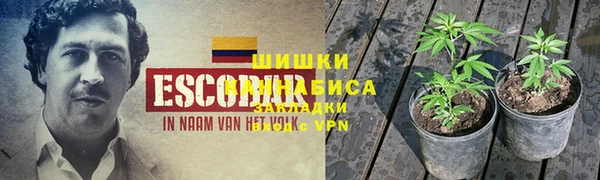 ешки Дмитриев