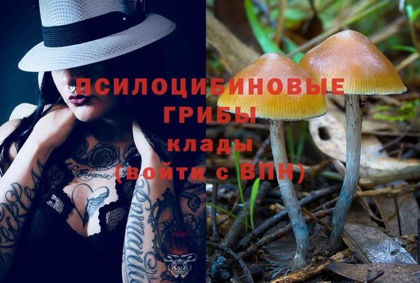 ешки Дмитриев