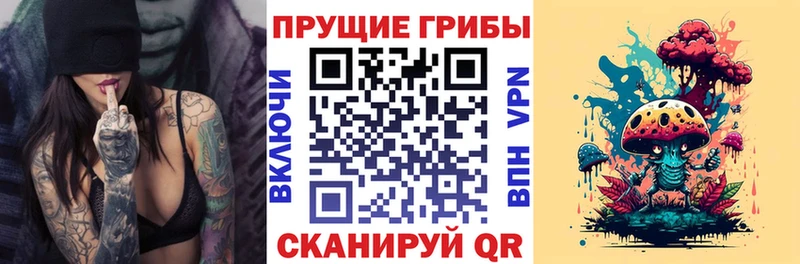 hydra ссылка  Усть-Лабинск  Галлюциногенные грибы Psilocybe 